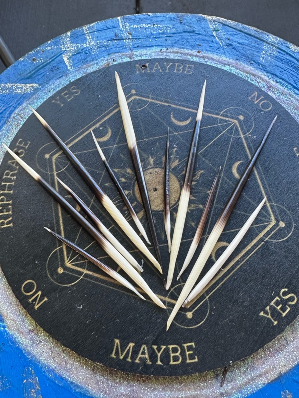 Porcupine Quill Pair — Large + Small Set of 2